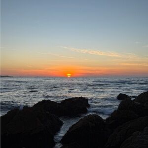 Meet your Posher, Lyu